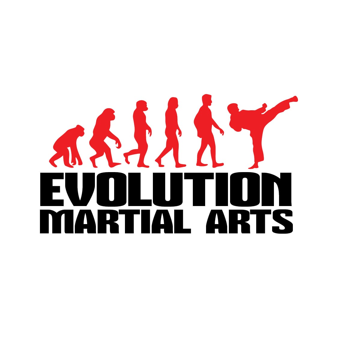 EVOLUTION MARTIAL ARTS UrArtStudio