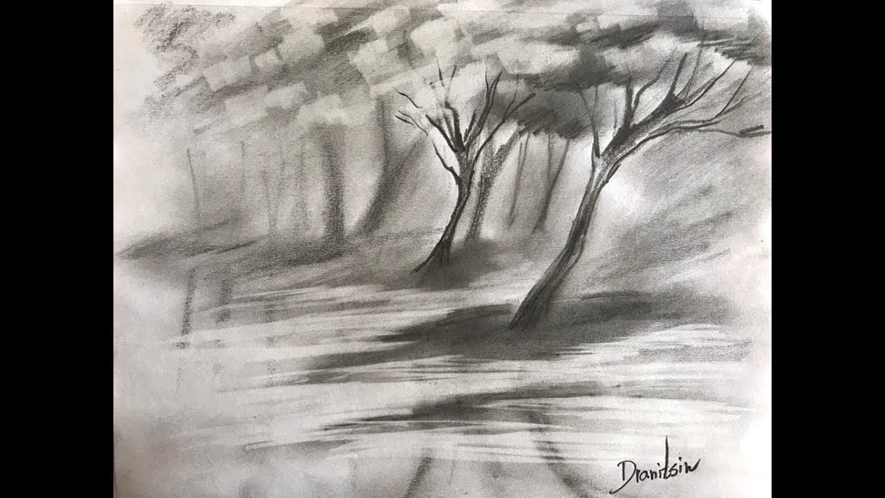 TREEGARDENPENCILSMUDGETECHNIQUEERASERSPONGEDRANITSIN1 UrArtStudio