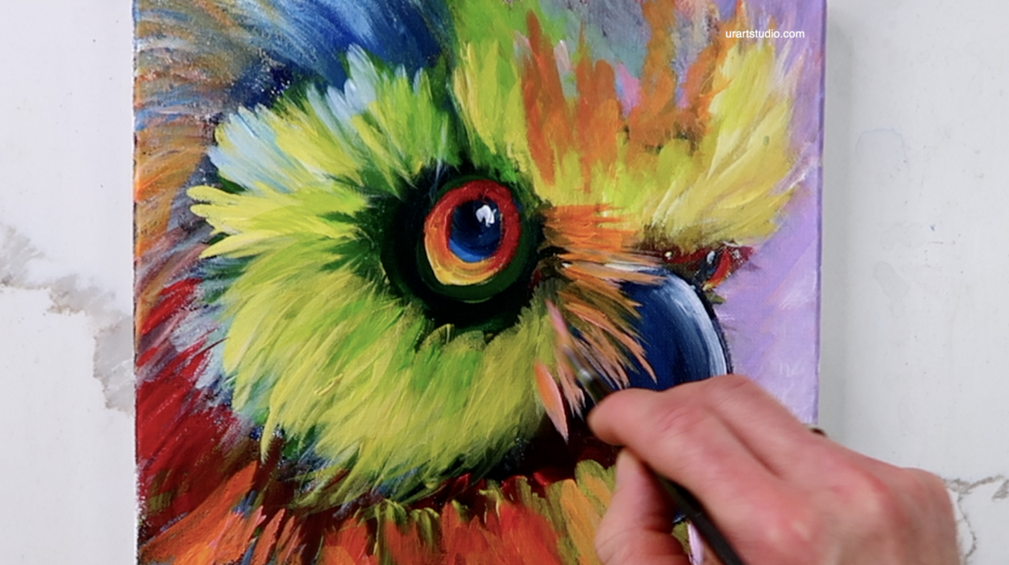 COLORFUL BIRD – UrArtStudio