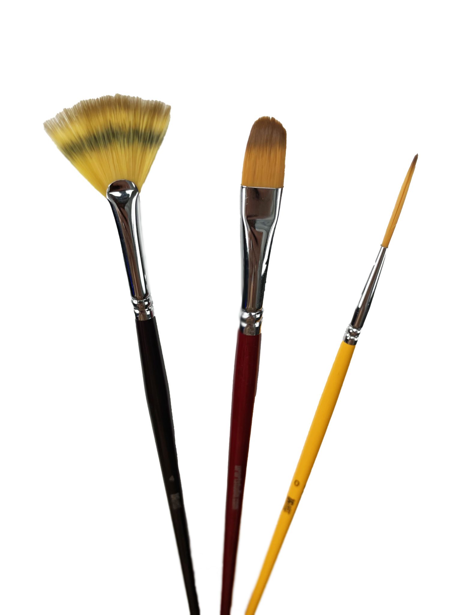 Filbert Paint Brushes