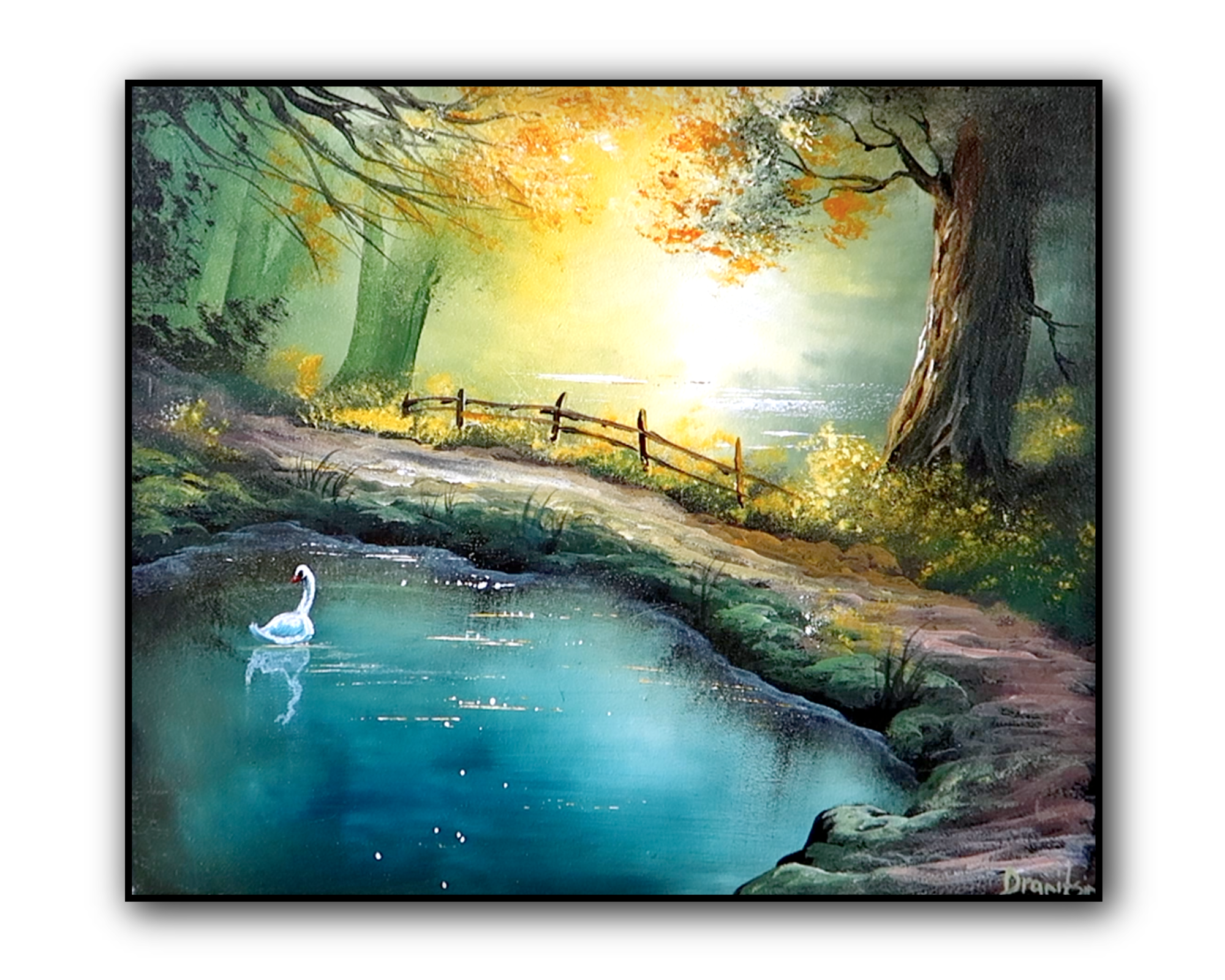 Swan Pond in Bright Sunshine | 1 minute art - UrArtStudio